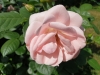 astrid-lindgren-2