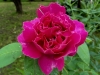 baron-girod-de-lain6