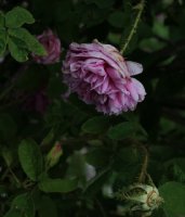 unique-de-provence-239