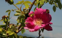 fruhlinsmorgen-galicja-2011-609a