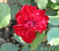 kathe-duvioneau-galicja-2011-401a