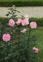 eve-rugiery-bagatelle-168