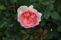 george-sand-bagatelle-534