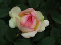 george-sand-bagatelle-535
