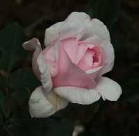 petite-trianon-259
