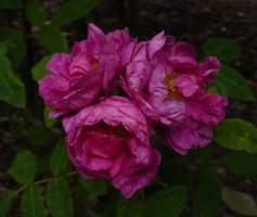 marbre-186
