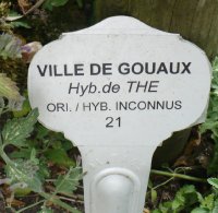 ville-de-goaux