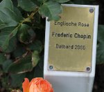 frederic-chopin