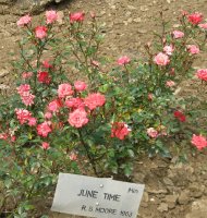 june-time