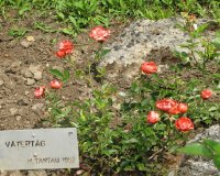 vatertag