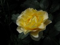 france-info2
