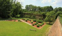 partery-traw-jpg2_