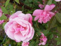 empress-of-china-2