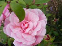 empress-of-china