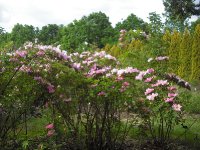 marguerite-hilling-27-05-2