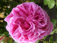 stratosfera