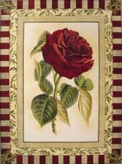 francois-arago