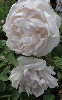 princesse-de-lamballe3