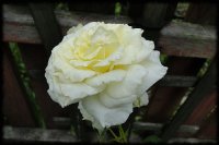 dsc02485