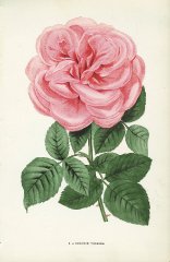eugenie-verdier