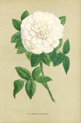 marie-de-saint-jean