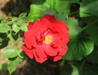morden-ruby2