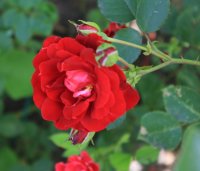 morden-ruby3