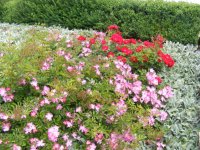 linderhof3