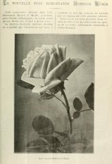 henrich-munch-journaldesroses-1911-6