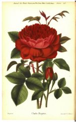 charles-margottin-jdr-1879-2