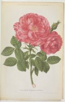 comandant-beaurepaire-1882-5