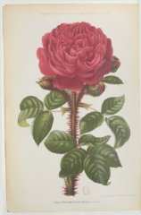 deuil-de-paul-fontaine-1882-8