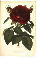 jean-liabaud-1879-8-jdr