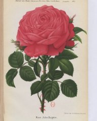 jules-margottin-1880-12-jdr