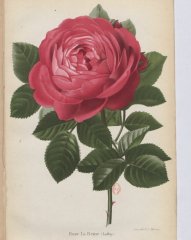 la-reine-1880-3