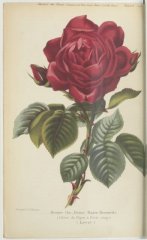 reine-marie-henriette-1878-10