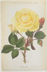 reve-dor-1882-12-jdr
