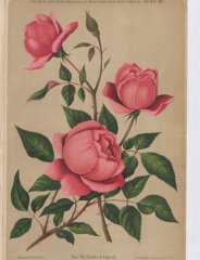 charles-de-legrady-1887-7