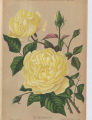 etoile-de-lyon-1887-10