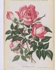marquise-de-vivens-1885-11