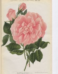 mme-sancy-de-parabere-1885-8