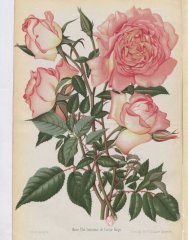 souvenir-de-victor-hugo-1885-10