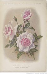 lucien-chaure-1914-4