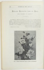 anna-rubsamen-1902-12