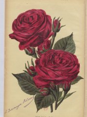 claude-jacquet-1908-2
