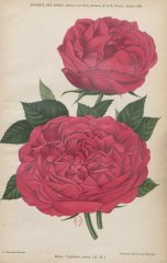 capitaine-jouen-1903-1_0