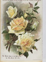 darms-deegen-1908-7