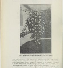 ernest-grandpierre-1902-11