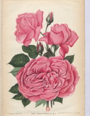 france-et-russie-1901-3