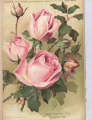 gustaw-grunerwald-1905-6